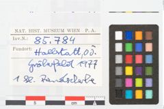 Foto von Keramikgefäß (NHMW-PRAE-085784)